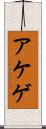 アケゲ Scroll