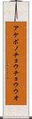 アケボノチョウチョウウオ Scroll