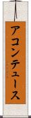 アコンテュース Scroll