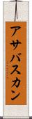 アサバスカン Scroll