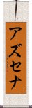 Azusena Scroll