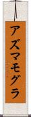 アズマモグラ Scroll