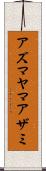 アズマヤマアザミ Scroll