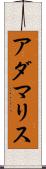 Adamaris Scroll