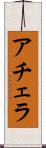 アチェラ Scroll