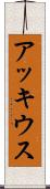 アッキウス Scroll