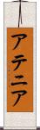 アテニア Scroll