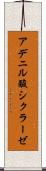 アデニル酸シクラーゼ Scroll