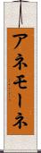 アネモーネ Scroll