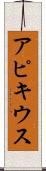 アピキウス Scroll