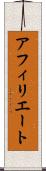 アフィリエート Scroll