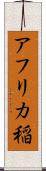 アフリカ稲 Scroll