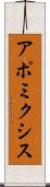 アポミクシス Scroll