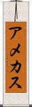 アメカス Scroll