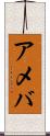 アメバ Scroll