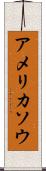 アメリカソウ Scroll