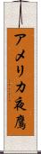 アメリカ夜鷹 Scroll