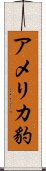 アメリカ豹 Scroll