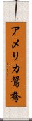 アメリカ鴛鴦 Scroll