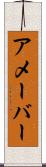 アメーバー Scroll
