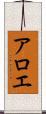 アロエ Scroll