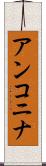アンコニナ Scroll
