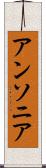 アンソニア Scroll