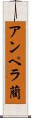 アンペラ藺 Scroll