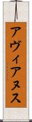 アヴィアヌス Scroll