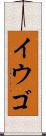 イウゴ Scroll