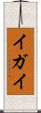 イガイ Scroll