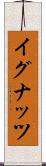 イグナッツ Scroll