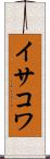 イサコワ Scroll