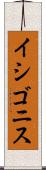 イシゴニス Scroll
