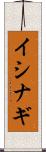 イシナギ Scroll