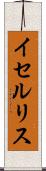 イセルリス Scroll