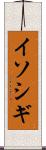 イソシギ Scroll