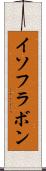 イソフラボン Scroll