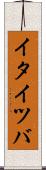 イタイツバ Scroll