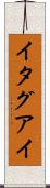 イタグアイ Scroll