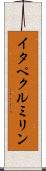 イタペクルミリン Scroll