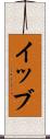 イッブ Scroll