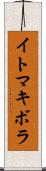 イトマキボラ Scroll