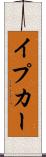 イプカー Scroll