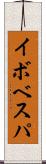 イボベスパ Scroll