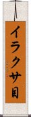 イラクサ目 Scroll