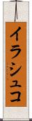 イラシュコ Scroll
