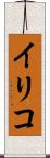 イリコ Scroll