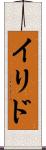 イリド Scroll