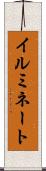 イルミネート Scroll